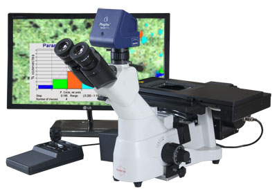 Motorized Microscope
