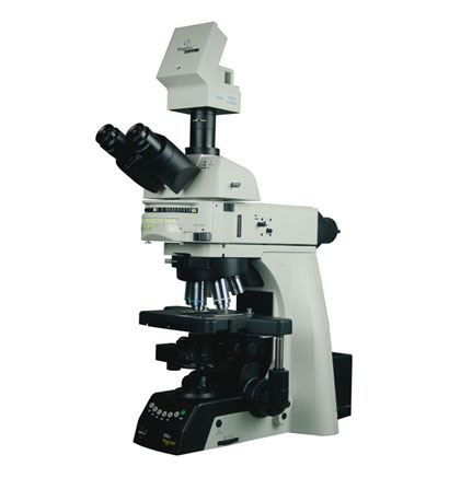 RXLr-5NX Series