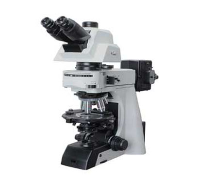 RXLr-5NX-POL Series
