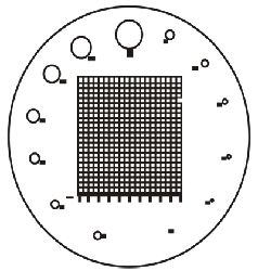 Scale Patterns of Contact Reticules Counting Grid