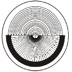 Scale Patterns of Contact Reticules Radius Scale